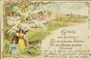 Gruss aus Sachsen! Wo die hübschen Mädchen auf den Bäumen wachsen.