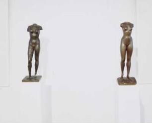 Weiblicher Torso