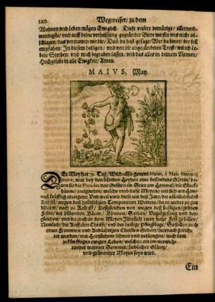 Maius, May.