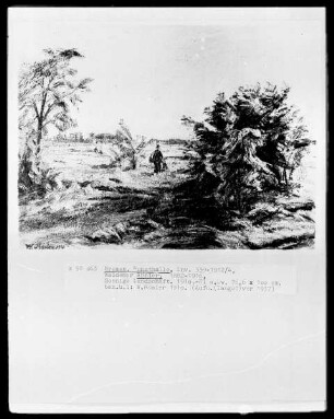 Sonnige Landschaft