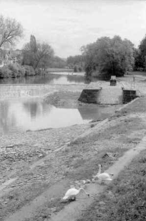 Rotenburg/Fulda: Von der Fuldabrücke auf Wehr, unten Schwäne