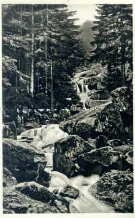 Wasserfall im Harz