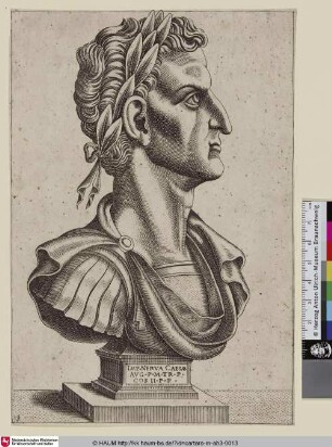 Imp. Nerva Caesar Aug. P.M.TR.P.COS II.P.P.