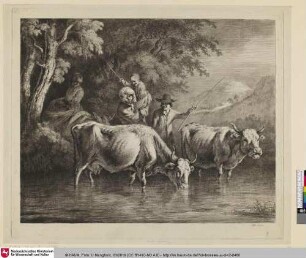 [Les grandes Vaches]