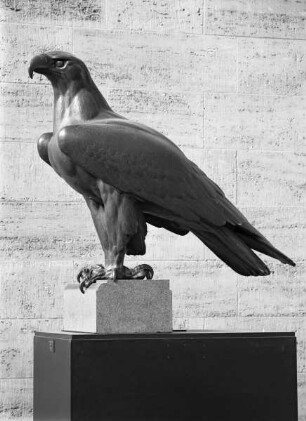 Adler