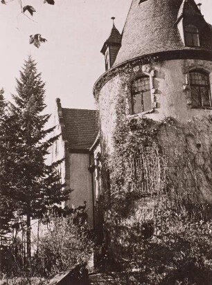 Hauptmann, Gerhart