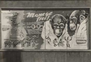 Circus Barlay - Großflächenwerbung, ohne Ortsangabe, 1953-1954
