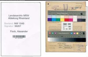 Entnazifizierung Alexander Flock , geb. 14.05.1892 (Bankkaufmann)