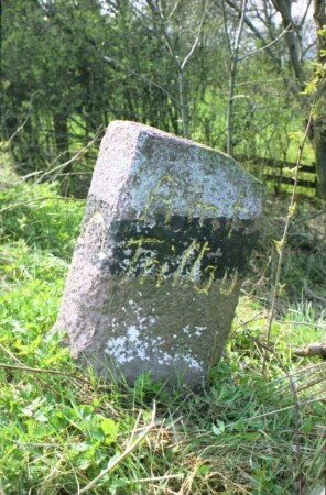 Oering (Kreis Segeberg): bei Hof Brunshorst: Grenzstein [Nr. 233] zwischen Amt Segeberg und Amt Trittau: Seite Trittau: auf Schmalseite Hufeisen-Symbol