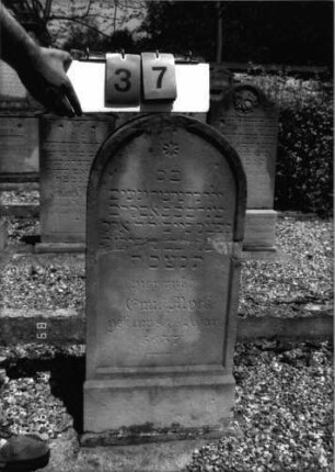 Grabstein 37 (Index: 99796614) Material: Sandstein Zustand: quer gebrochen/repariert/Textverlust Maße HxBxT: 85x39x11 cm Beschreibung: Stele, Rundbogenabschluß, Schrift eingetieft Symbolik: Sternchen: Grabstein 37