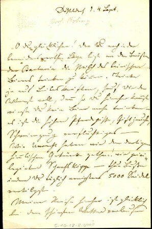 Roeting, Prof. Julius, Maler