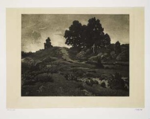 Heide-Landschaft