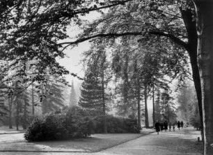 Hamburg-Ohlsdorf. Ansicht des Friedhofes Ohlsdorf. Er ist mit 389 Hektar der größte Parkfriedhof der Welt