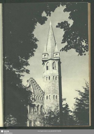 Jagdschloß Haideburg (02)