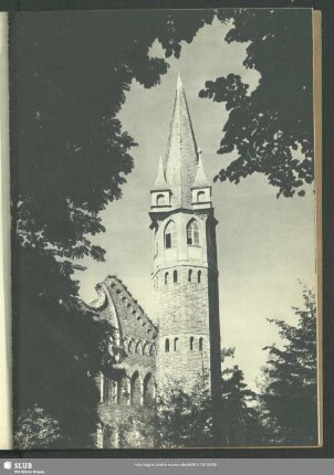 Jagdschloß Haideburg (02)