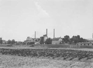 Meuselwitz-Rositzer Braunkohlerevier. Gorma, Grube