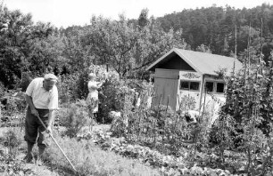 Freiburg: Familie arbeitet im Schrebergarten