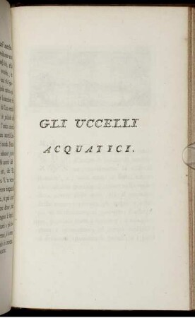 Gli Uccelli Acquatici.