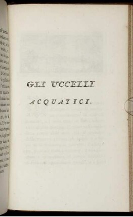 Gli Uccelli Acquatici.