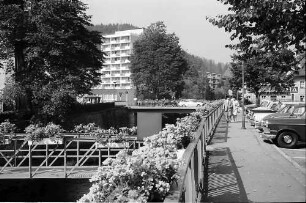 Hauptstraße mit Euro-Hotel und Blumenkübeln in St. Blasien