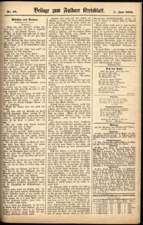 Zweite Ausgabe vom Samstag, den 05. Juni 1880.