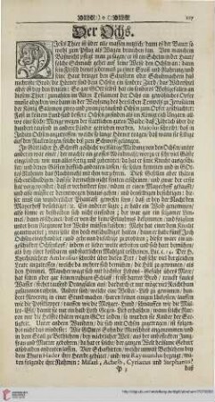 Der Ochs