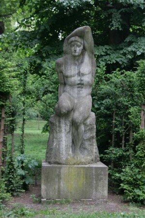 Der Schwimmer