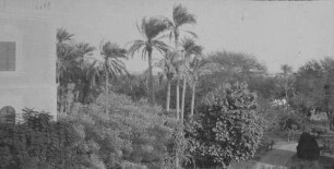 Port Sudan - Garten des Gouverneurgebäudes [Reise nach dem Sudan, Band 1]