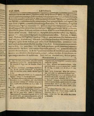 1019-1028, Vers 22 - 46