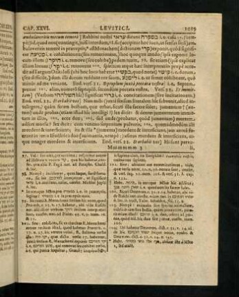 1019-1028, Vers 22 - 46