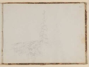 Pflanzenstudie [aus einem Skizzenbuch der Rosette Städel, Blatt 26r]