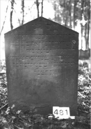 Grabstein 481 (Index: 99900941) Material: Sandstein Zustand: gut erhalten, unten beginnende Verwitterung Maße HxBxT: 95x66x7 cm Beschreibung: Stele mit Dreiecksabschluss, Zwischen den Buchstaben der ersten Zeile eingeritzte Levitenkanne Symbolik: Levitenkanne: Grabstein 481