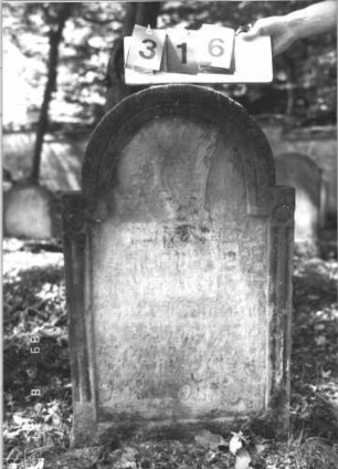Grabstein 316 (Index: 99609953) Material: Sandstein Zustand: stark verwittert, weitgehender Textverlust Maße HxBxT: 90x56x10 cm Beschreibung: Stele, eingezogener Rundbogenabschluß, Schriftfeld eingetieft: Grabstein 316