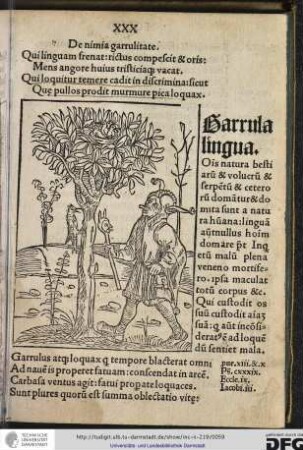 De nimia garrulitate.