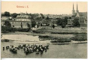 Grimma. Blick auf Grimma