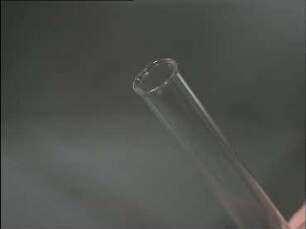 Bestimmung der Zellzahl in einer Kultur am Beispiel von Escherichia coli