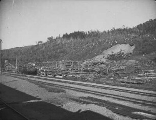 Bahnstrecke an der Ostküste : Landschaft mit verkohltem Wald