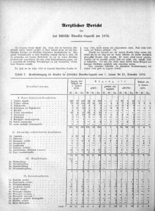 Aerztlicher Bericht über das städtischen Baracken-Lazareth pro 1876