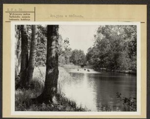 Landschaft bei Leipe, Kreis Calau im Spreewald. : Krajina wokoło Lipja w Błótach