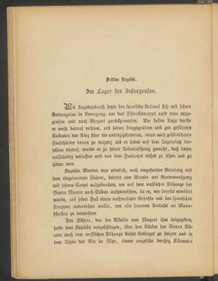 Drittes Kapitel. - Im Lager der Insurgenten.
