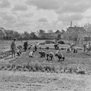 Gartenarbeit Schule Klix : Klix. Schule. Schulgartenunterricht