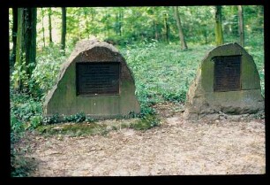 Steinhöfel 15.7.83.
