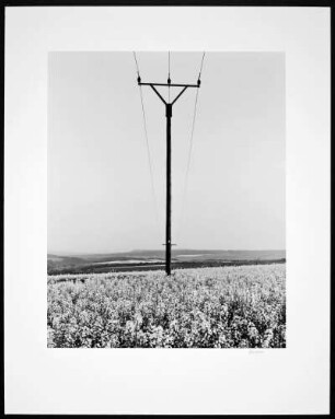 Strommast in Rapsfeld bei Krefeld