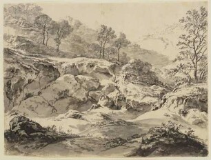 Bewaldetes Tal im Felsengebirge