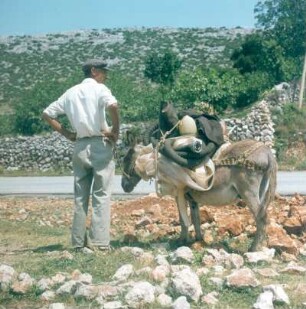 Kroatien. Bauer mit Esel