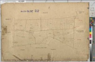 Beckum Ksp. u.Stadt (Beckum), Umlegung Beckum, Urkarte II Beckum, Kspl. Planbl. 39