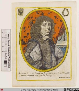 Bildnis Gaspard IV de Coligny, duc de Châtillon