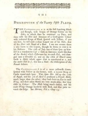 The Description of the Twenty Fifth Plate