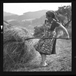 Landwirtschaft im Schwarzwald