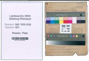 Entnazifizierung Peter Roesen , geb. 06.10.1908 (Buchberater)